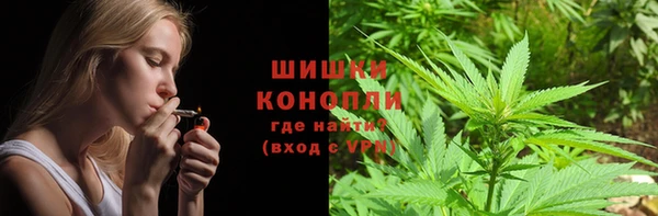 apvp Алзамай