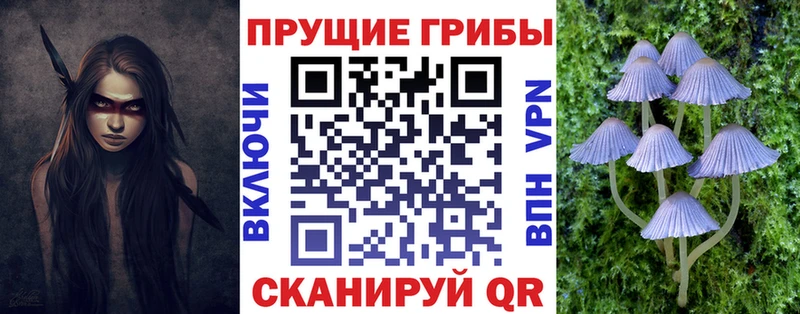 Псилоцибиновые грибы мицелий  Бокситогорск 